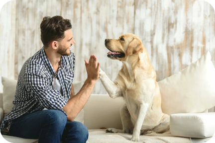 Сотрудничество