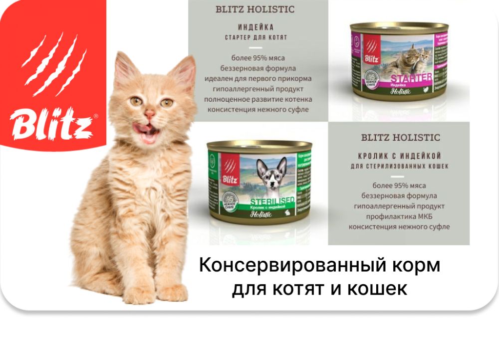 Консервы для котят и кошек