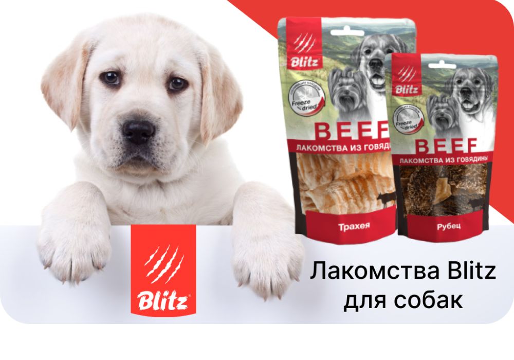 Лакомства Blitz